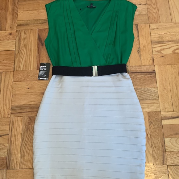 COPY - EXPRESS NEW Fitted Dress - Picture 13 of 14